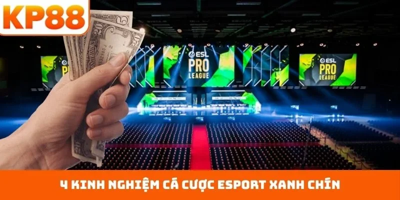Cá Cược Esport - Bắt Trọn Khoảnh Khắc Vinh Quang Từng Trận 3 4 kinh nghiệm cá cược esport xanh chín